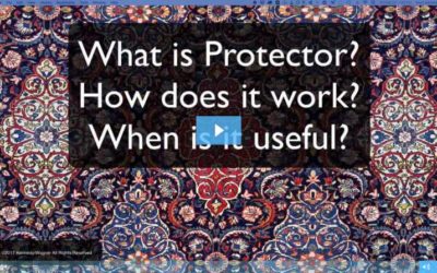 What Is Protector