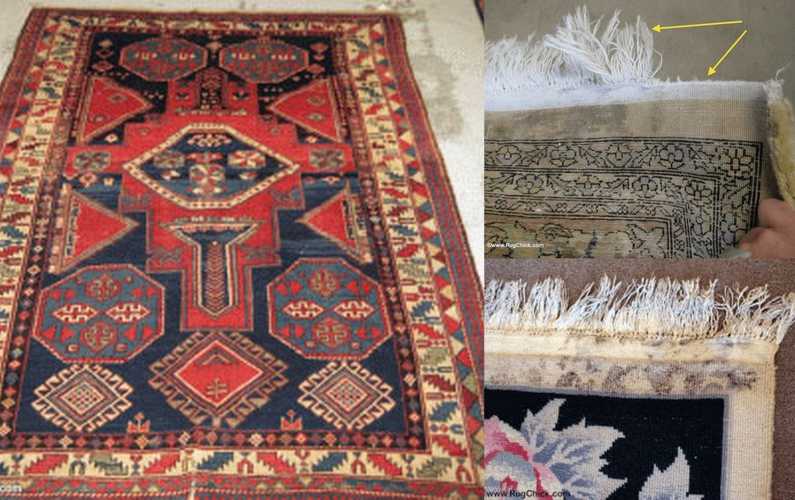 Mold and Dry Rot in Rugs