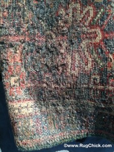 Protect Your Rugs from Moths– Bradford's Rug Gallery