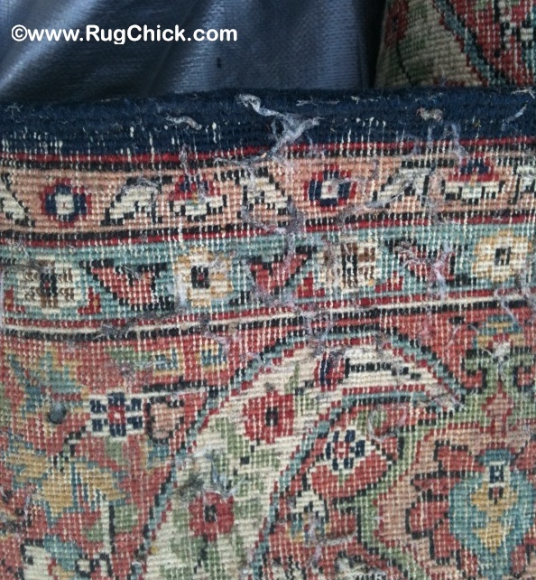 Prevent and Kill Moths in Your Persian Rugs - Behnam Rugs