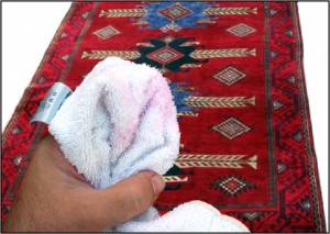 Dry towel picks up red from a rug easily