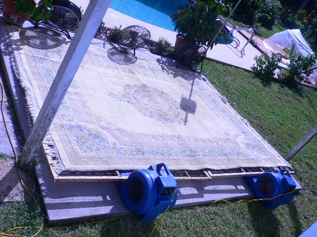 drying rugs outside