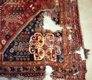 Rug with hole from bugs
