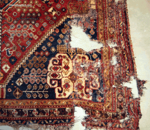 Tapis avec trou d'insectes