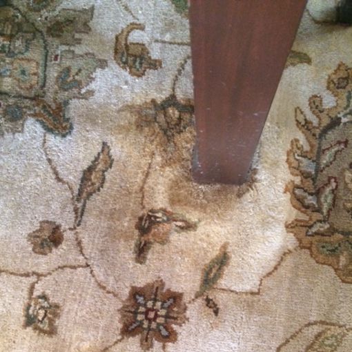 How to Clean a Wool Rug from Dog Urine