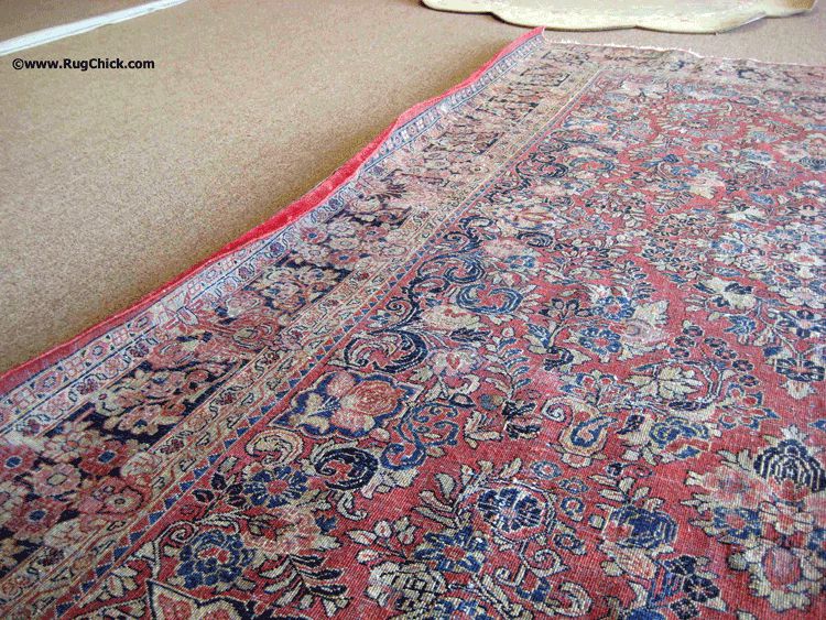 Side curls on this damp Sarouk rug that is drying face down.