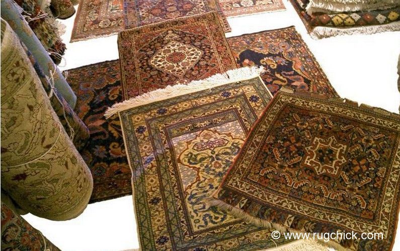 For Rug Shoppers