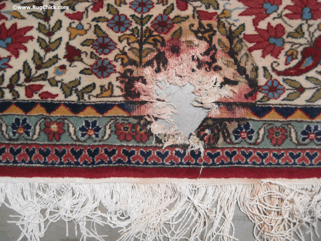 Rug Care Tips: Preventing Mildew and Dry Rot in Rugs » Greenspring Rug Care