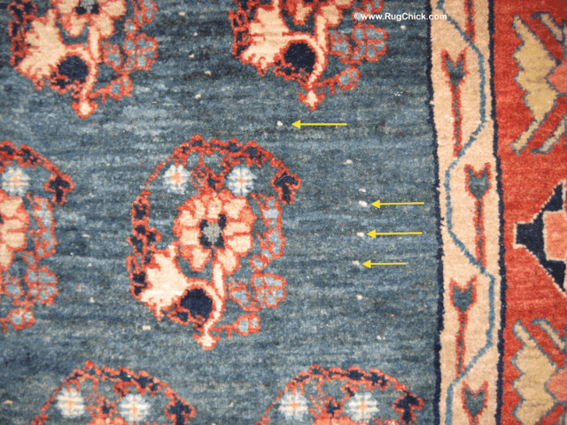 White knots visible in the field of this hand woven rug after a really good bath.