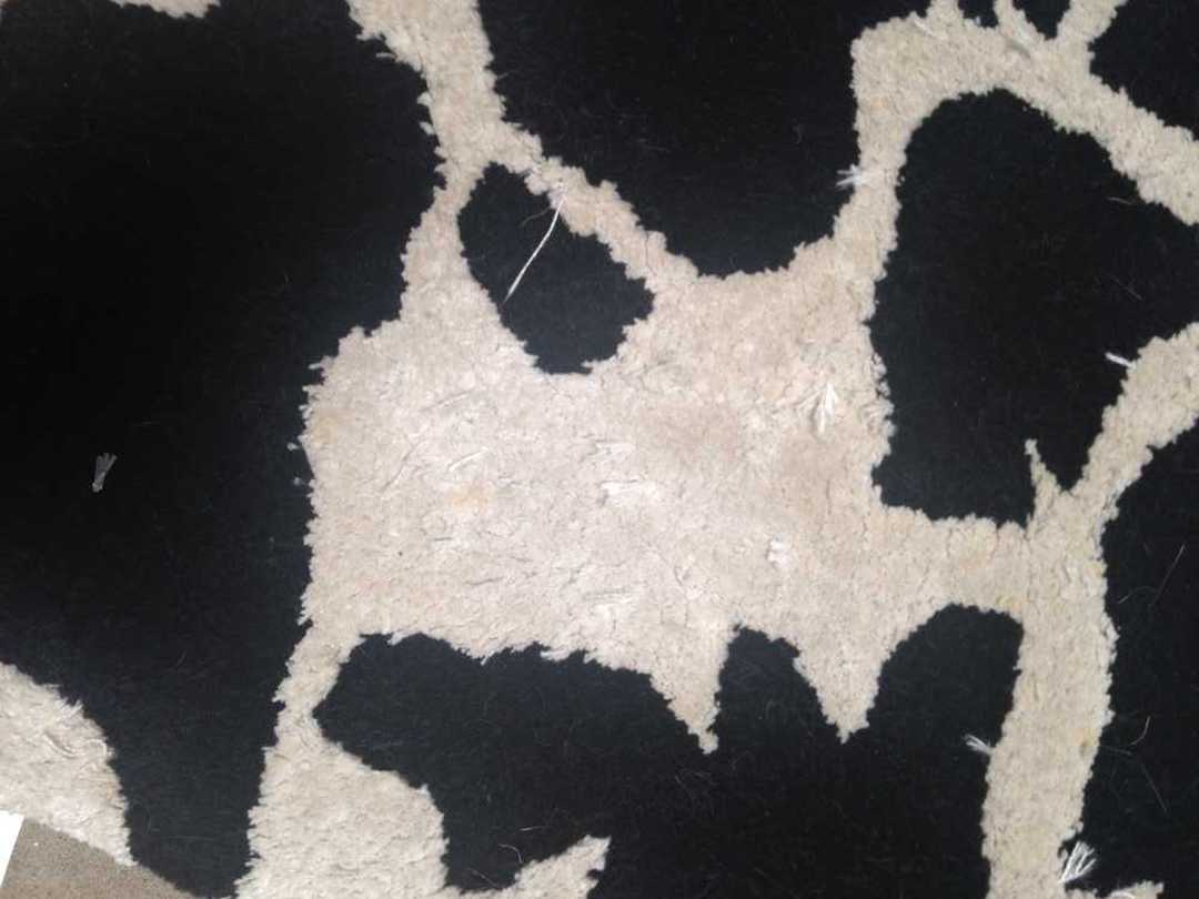 Why is My New Rug Shedding? How To Make A Wool Rug Stop Shedding